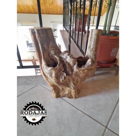 RAICES DECORATIVAS
