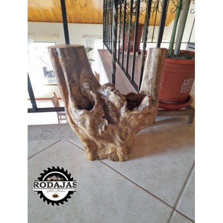 RAICES DECORATIVAS
